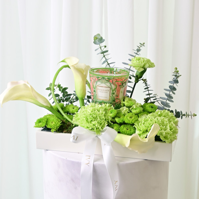 Tomorrowland Baobab Gift