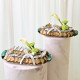 Emerald Truffles S