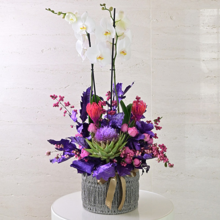 Fall Orchid