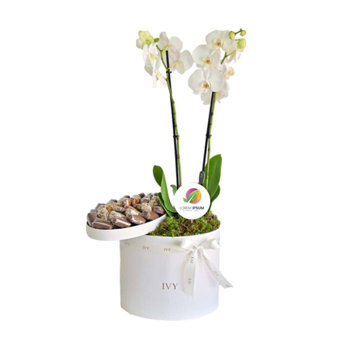 Corporate Orchid with Chocolates