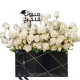 Graduation Box White