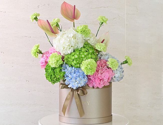 Flower Boxes