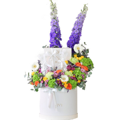 Gift Hampers
