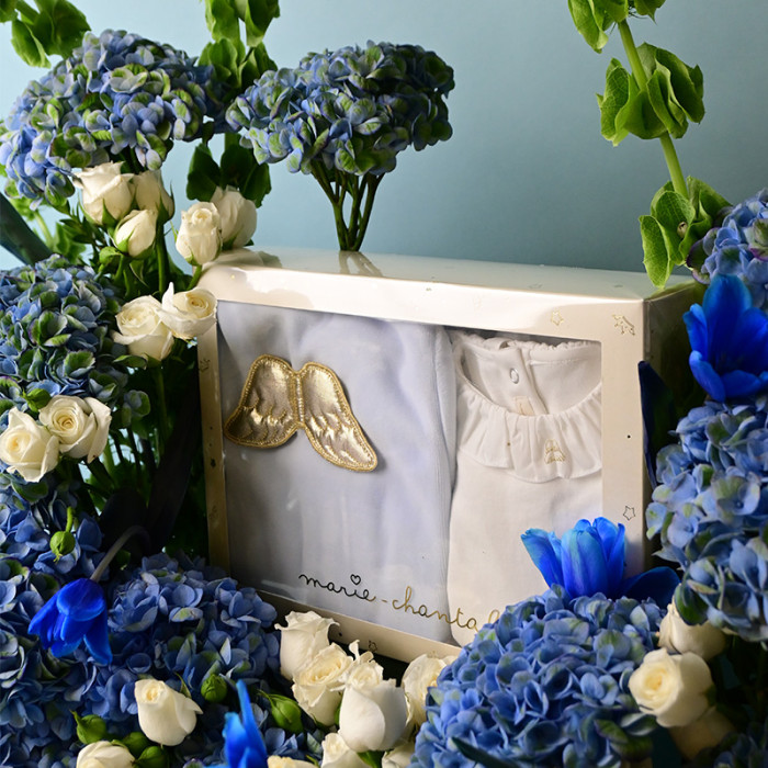 Halo Wing Set Gift Tray
