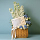 MC Pointelle Hamper Blue 