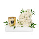 Baobab Aurum Gift Tray