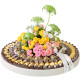 Hoop Floral Tray