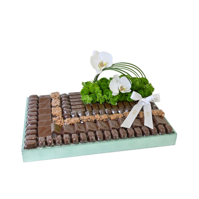 Allure Tray 1.350 KG