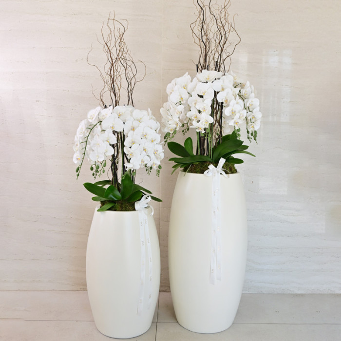 Faux Orchid Elegance C