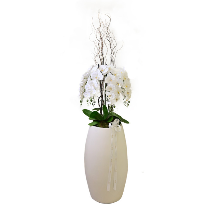 Faux Orchid Elegance C