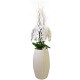 Faux Orchid Elegance C