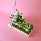Birds White Tray