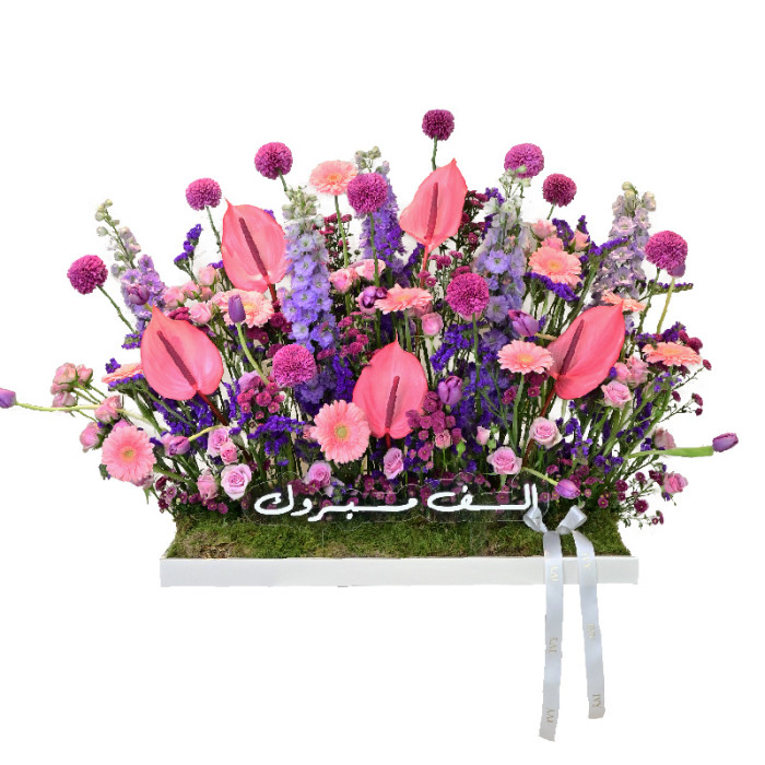 Customized Flora Tray