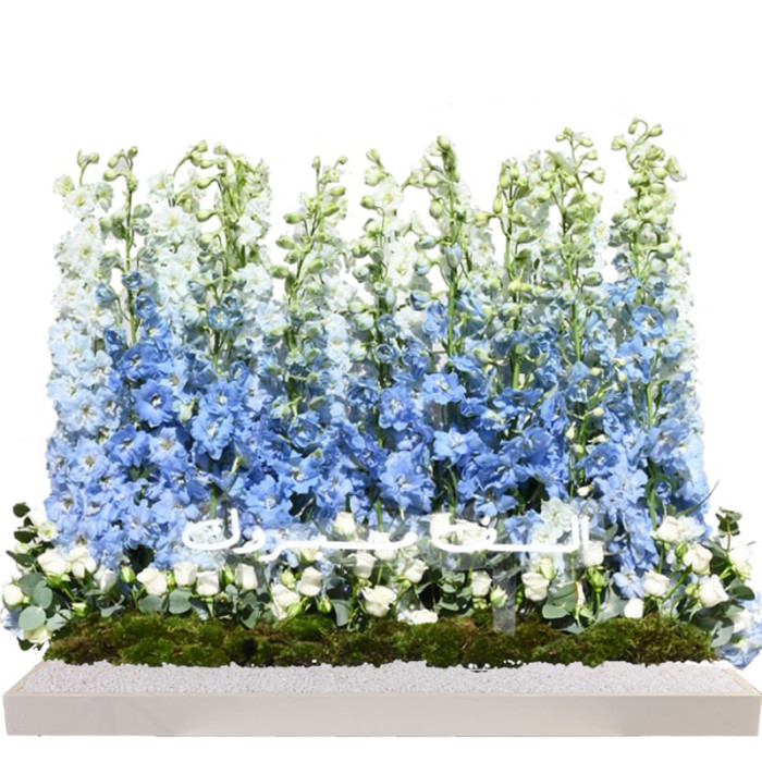 Customized Delphinium Tray