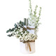 Bliss White 9