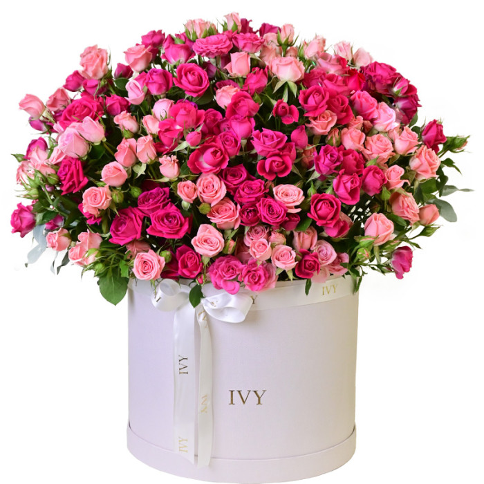 Pink Dream L