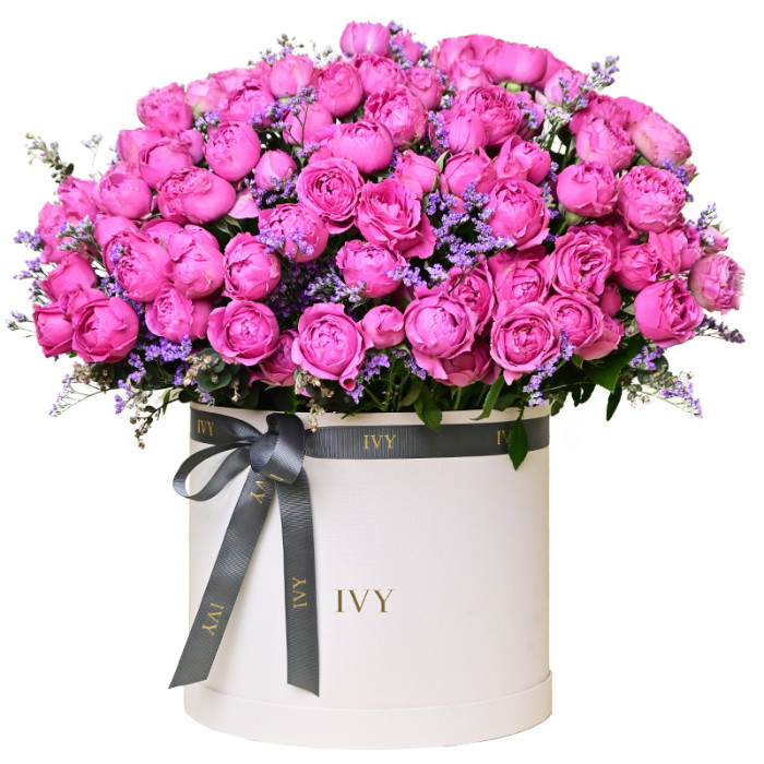 Rosa Flower Box