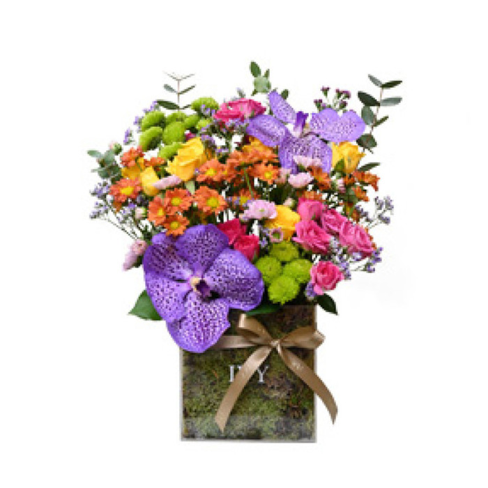 Spring Blooms