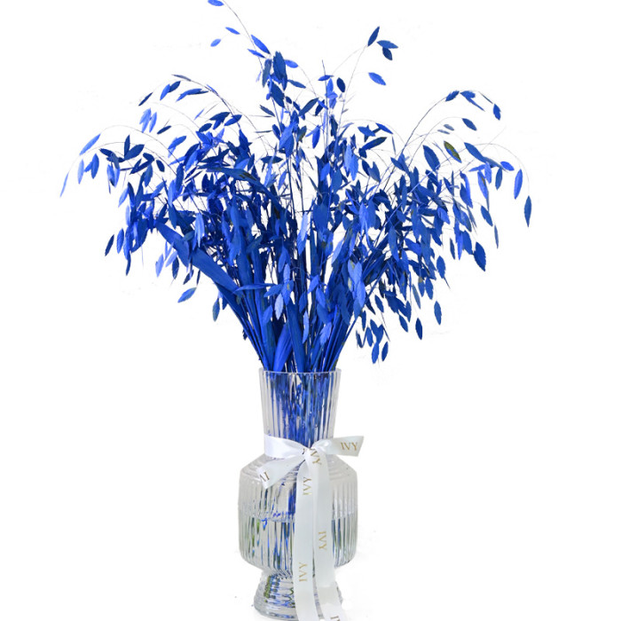 Blue Magicfall