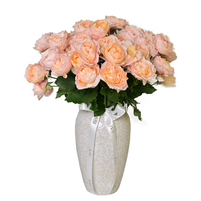 Rosa Salmon