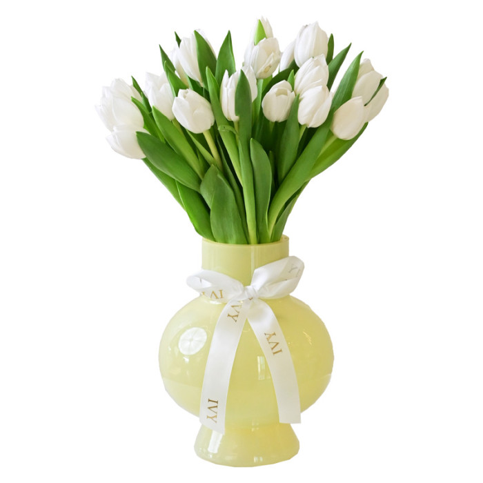 Snow Tulips