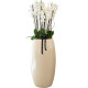 Orchids Planter XL