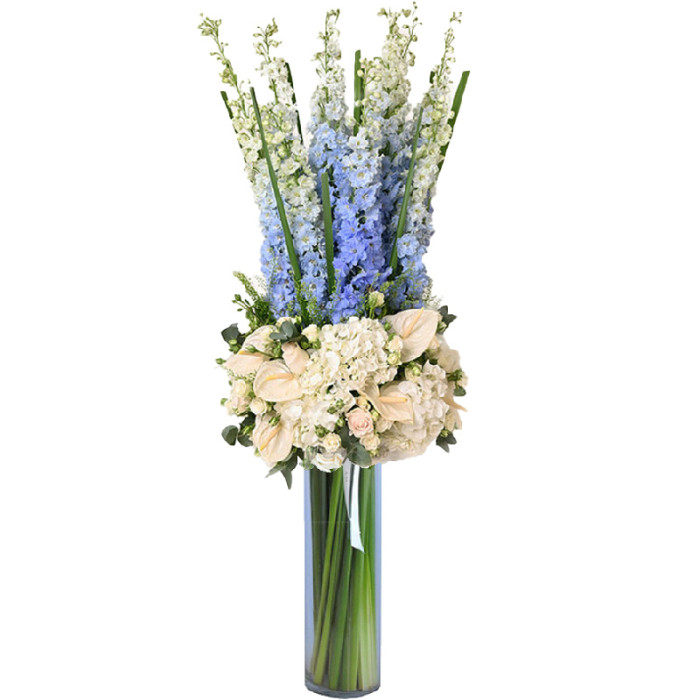 Blue Allure