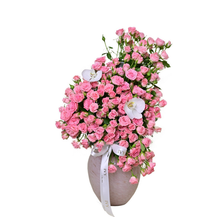 Blush Elegance