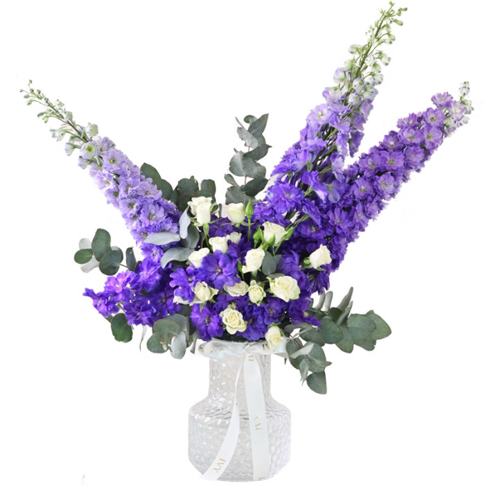 Dolce Viola