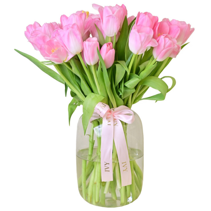 Tulips Pink