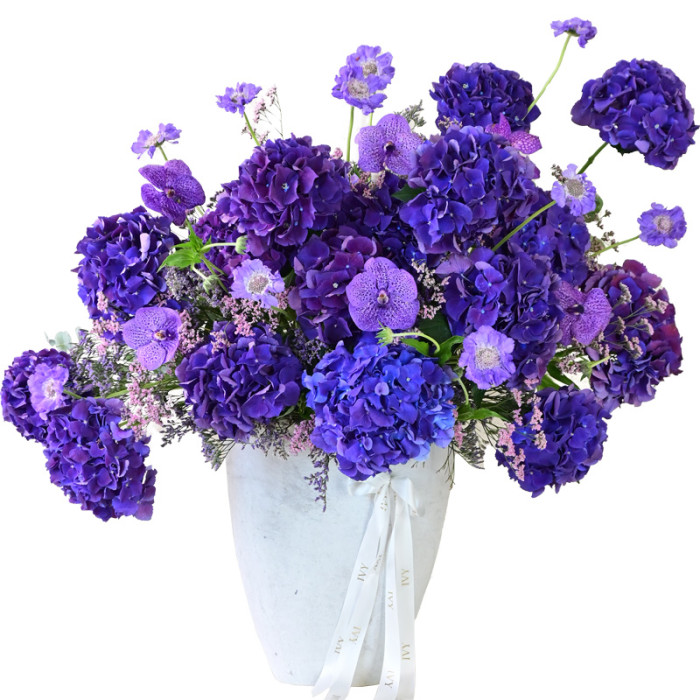 Purple Lux