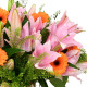Coral Lilies