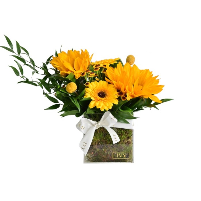 Sunflower Box Mini