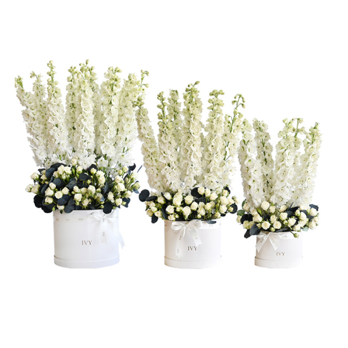 White Crown