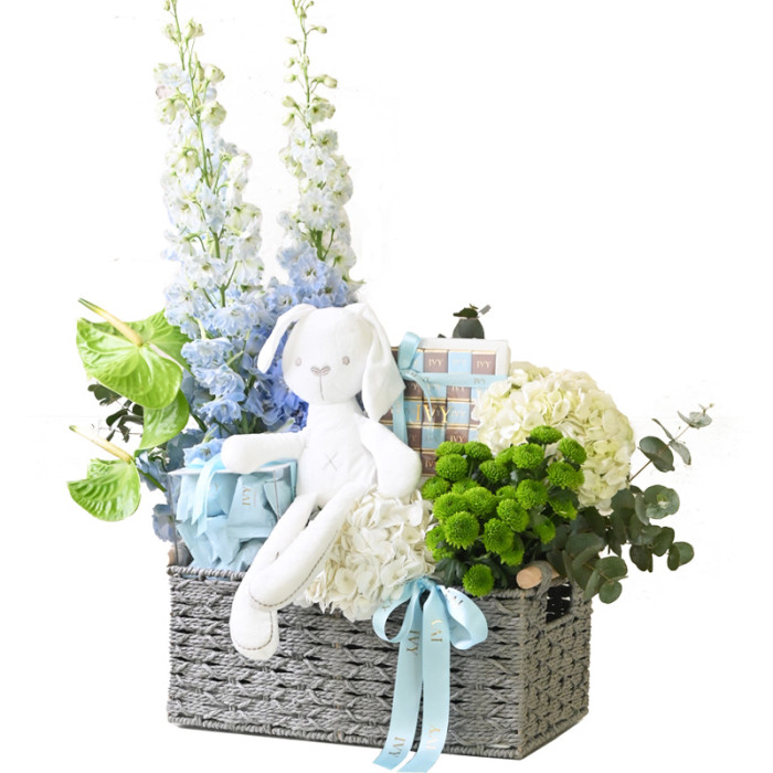 Baby Boy Basket Hamper