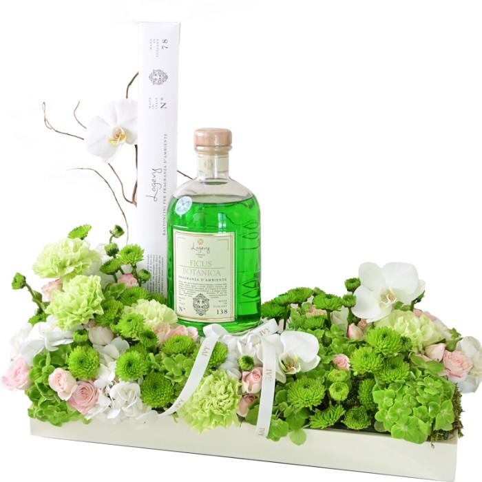 Ficus Botanica Floral Tray