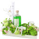 Ficus Botanica Floral Tray