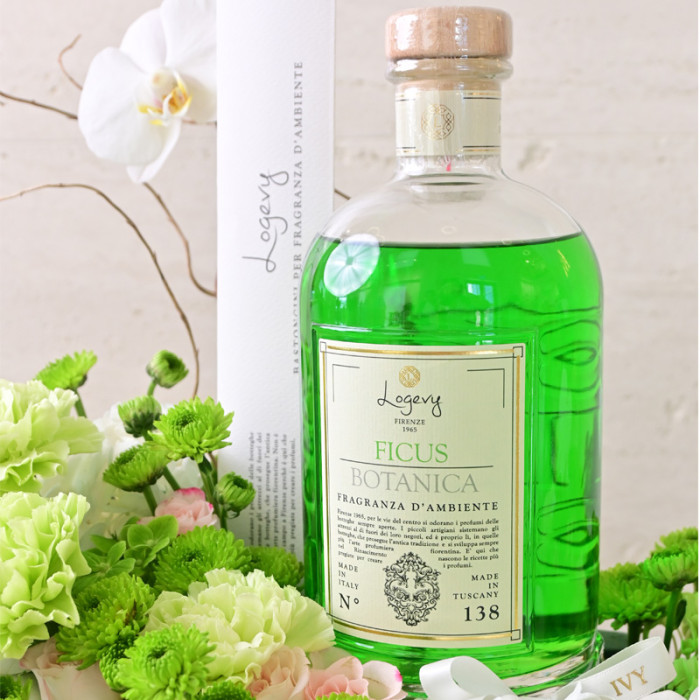 Ficus Botanica Floral Tray