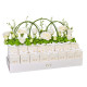 16 Cube Giveaways Tray
