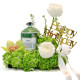 Libra Birthday Gift Tray