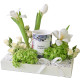 MLB Candle Tray 