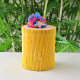 Bamboo Box Yellow (Empty)