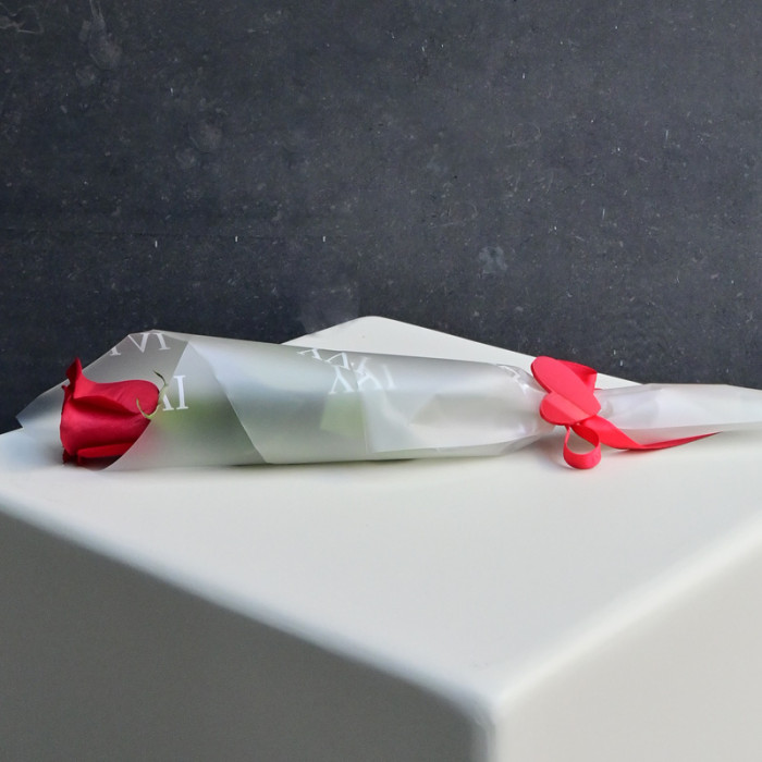 Valentine's Rose